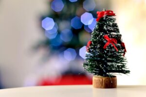 christmas, christmas tree, bokeh